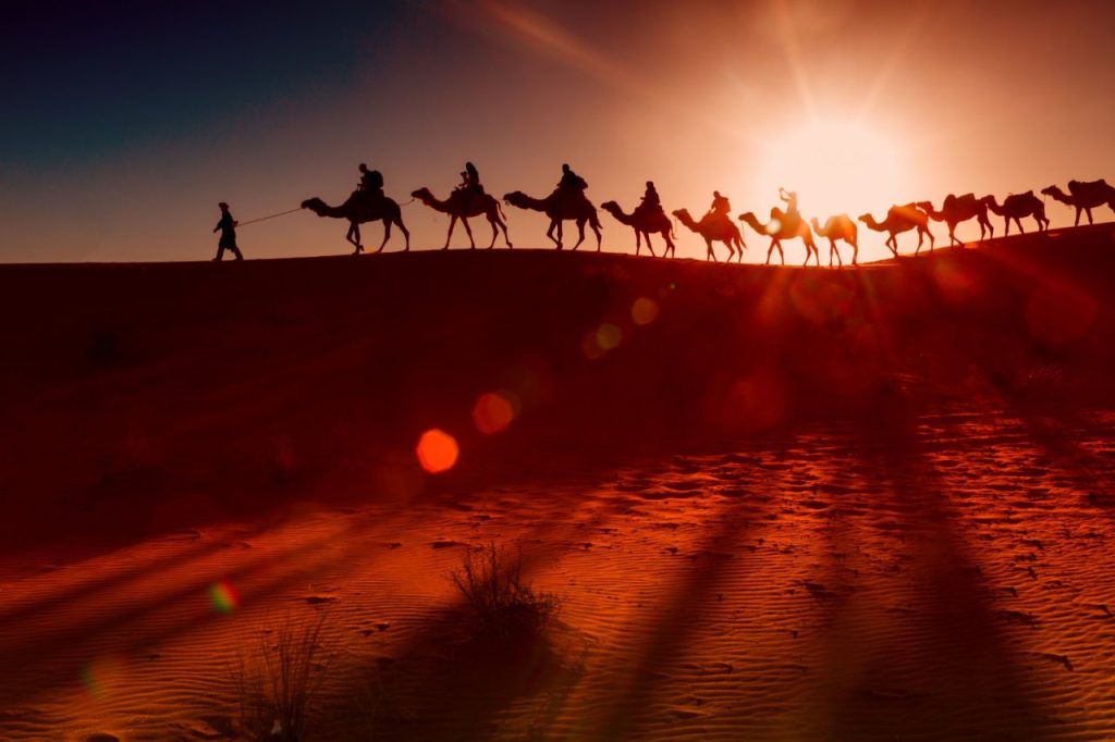 désert marocain